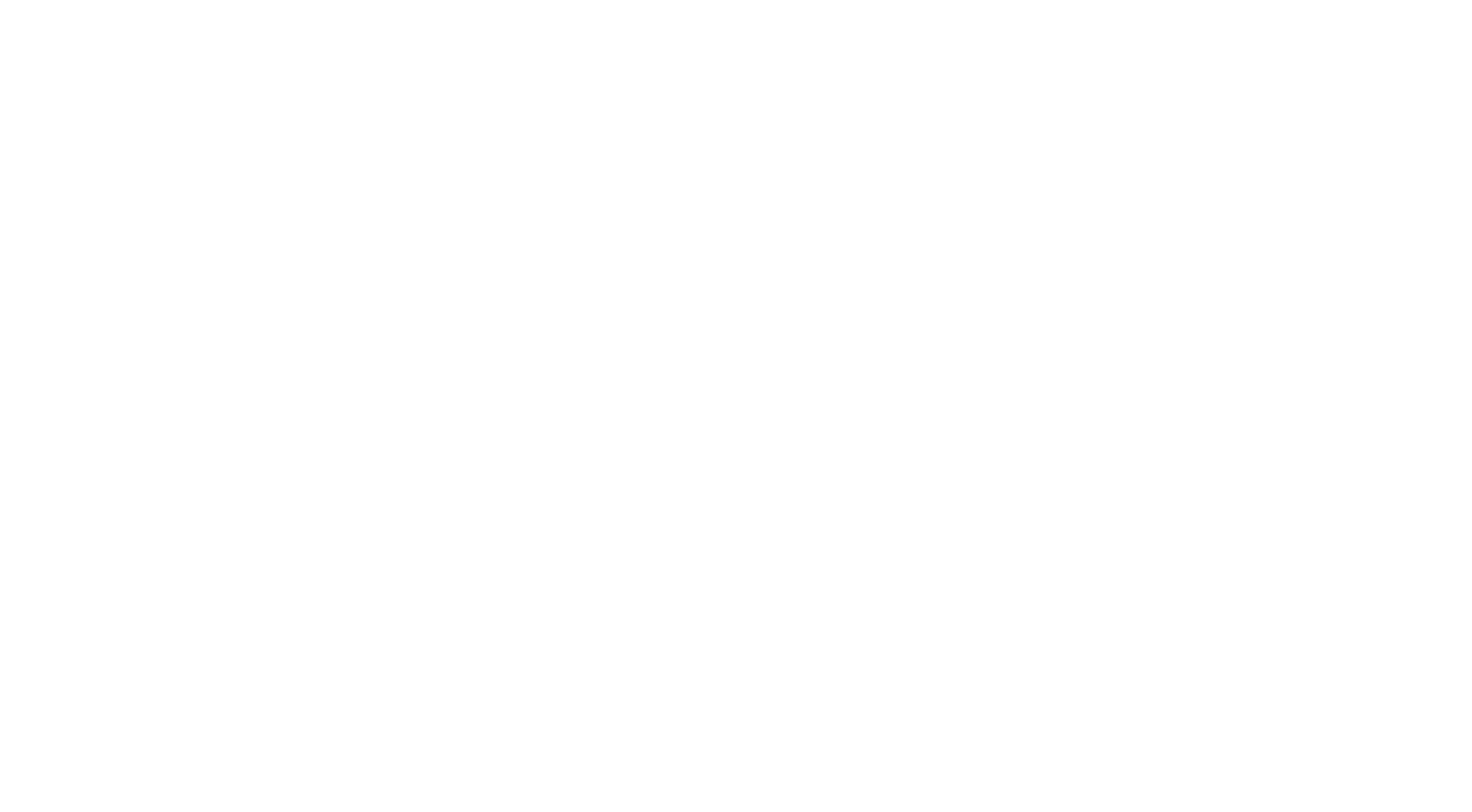 Logo Edersee Triathlon Weiss Gross
